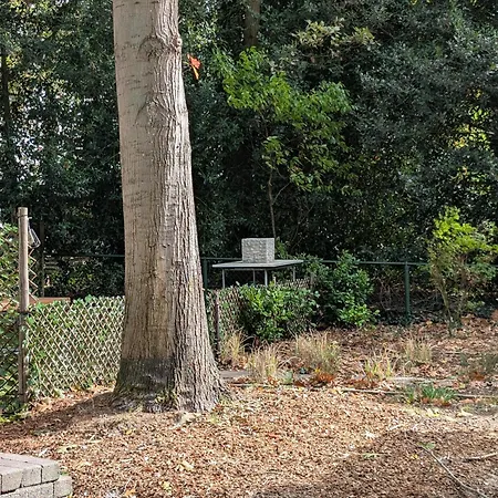Heerlijk Holiday home